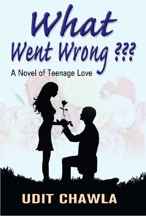 What went wrong : A novel by Udit Chawla by Udit Chawla